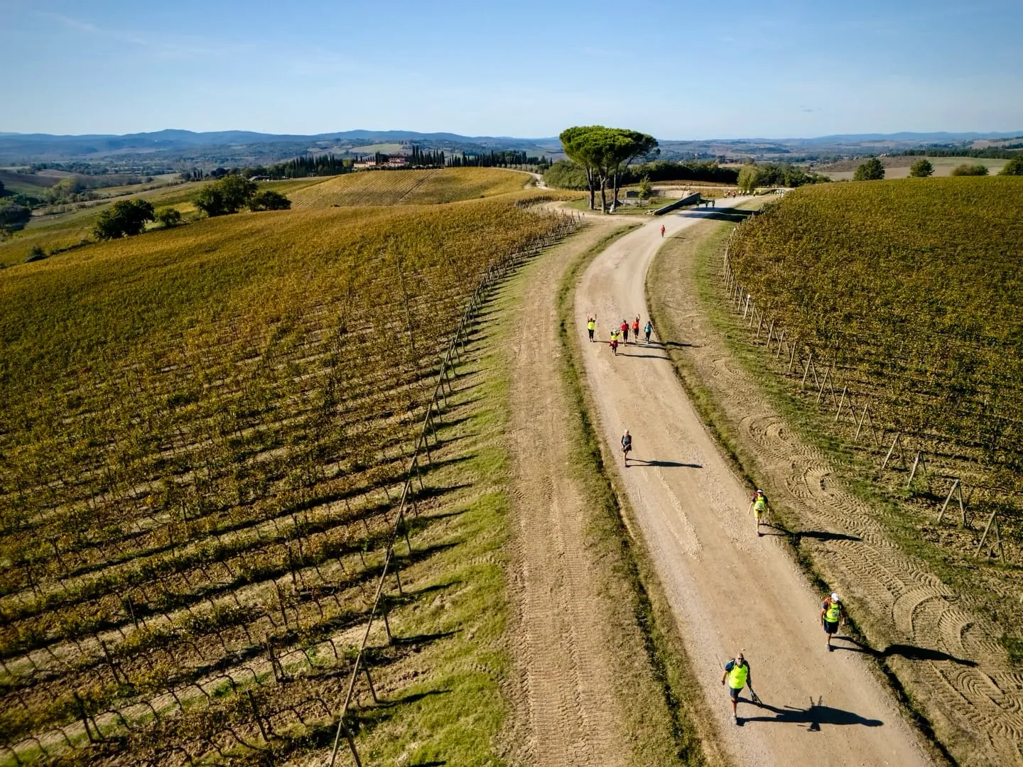 Walking Francigena Ultramarathon